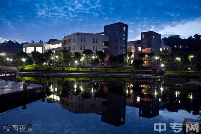 重庆工业职业技术学院校园夜景