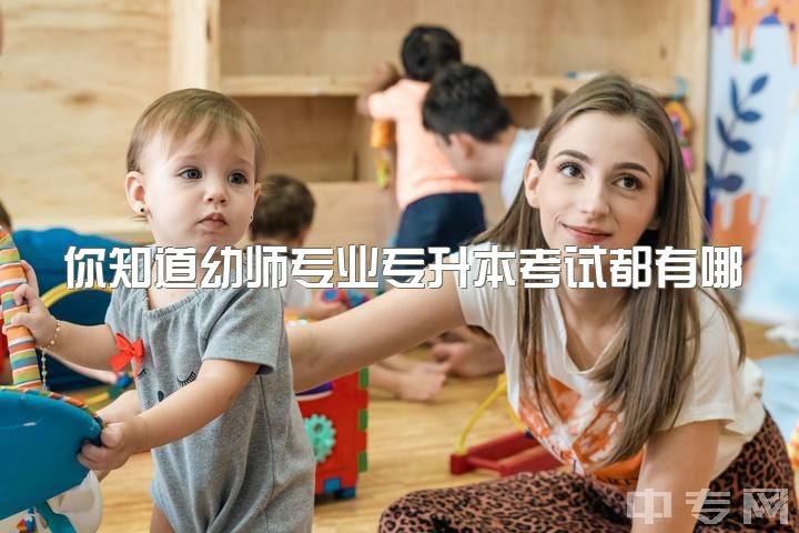 你知道幼师专业专升本考试都有哪些内容吗？