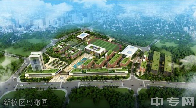四川省三台县刘营职业高级中学校（三台职教中心）新校区鸟瞰图