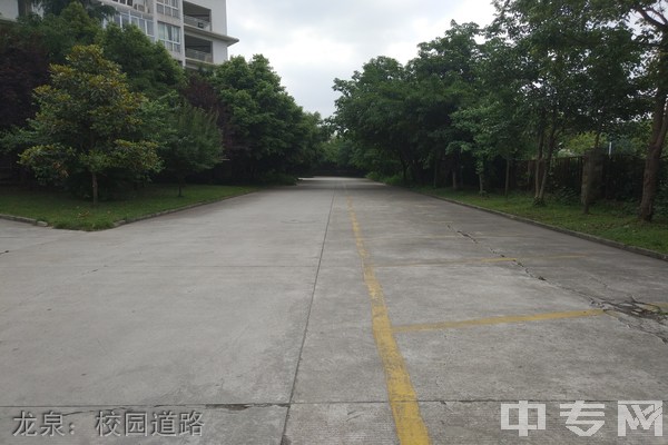 乐山市医药科技学校龙泉：校园道路