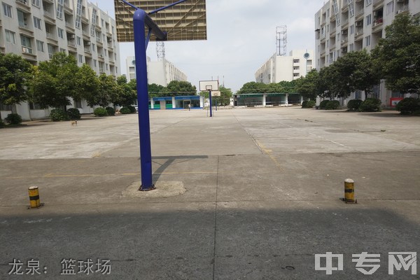 乐山市医药科技学校龙泉：篮球场