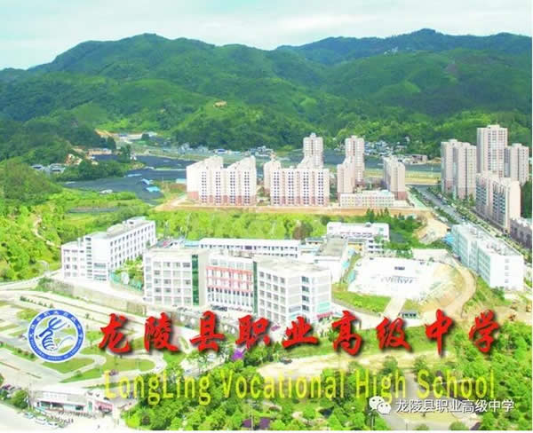龙陵县职业高级中学学校全景