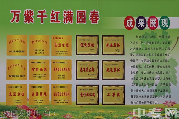 合阳县职业技术教育中心校园文化墙（1）