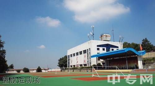 四川省盐业学校塑胶运动场