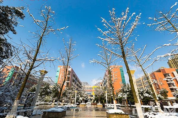 重庆南川隆化职业中学校校园雪景（3）