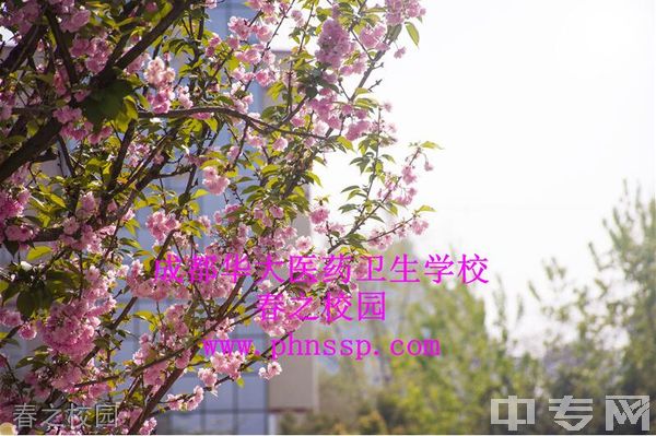 成都医药卫生学校春之校园