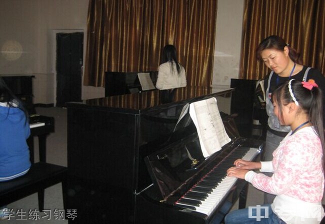 宜宾县柳嘉职业技术学校学生练习钢琴