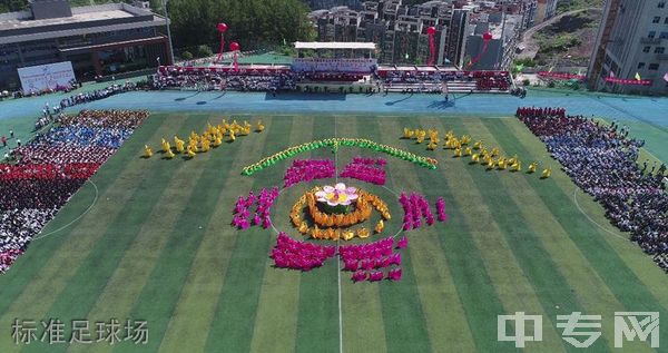 南江县小河职业中学标准足球场