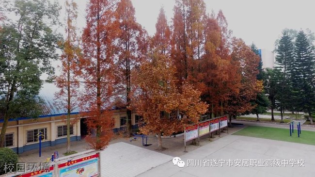 四川省遂宁市安居职业高级中学校校园环境