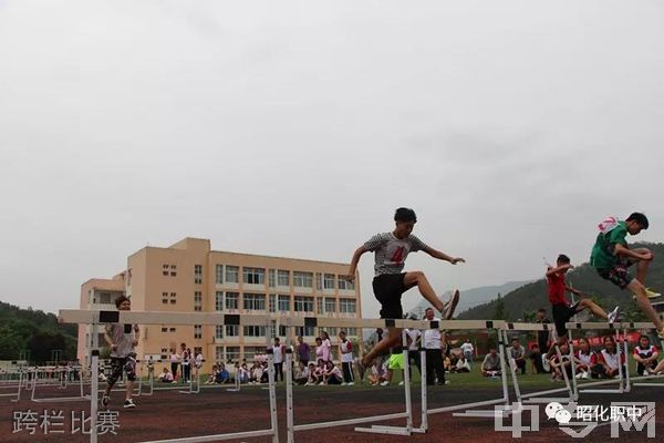 广元市昭化区职业高级中学跨栏比赛