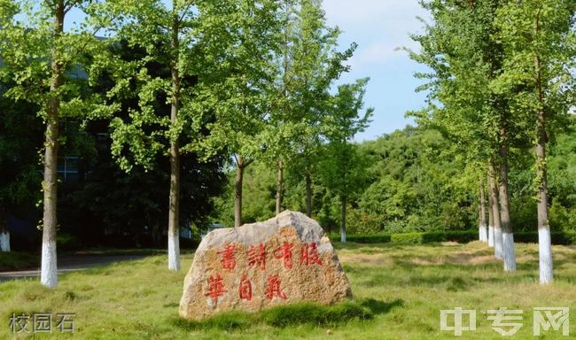 重庆传媒职业学院校园石