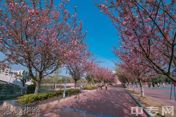 四川交通职业技术学院浪漫花路