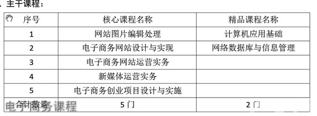 重庆能源职业学院电子商务课程