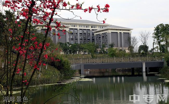 重庆能源职业学院湖畔景色