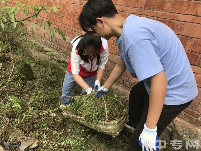 重庆幼儿师范高等专科学校青马2