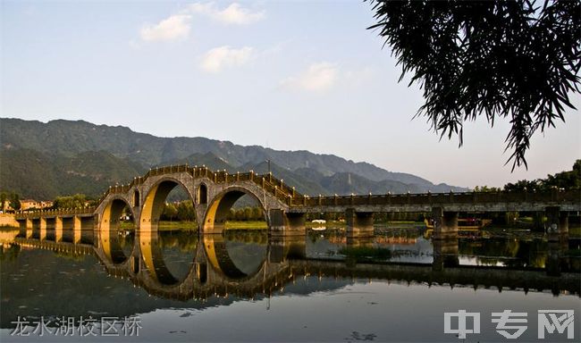 重庆电信职业学院龙水湖校区桥