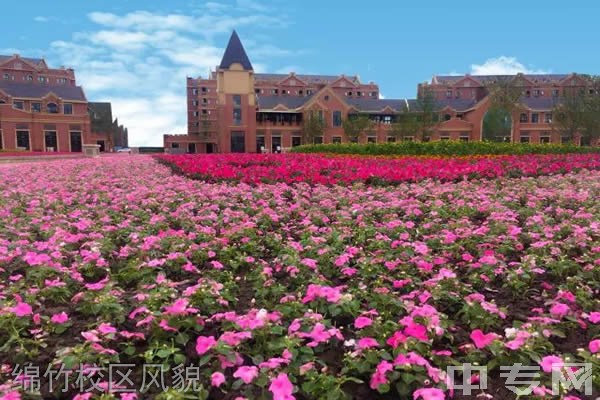 四川文化传媒职业学院绵竹校区风貌