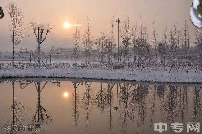 川南幼儿师范高等专科学校冬天的雪景