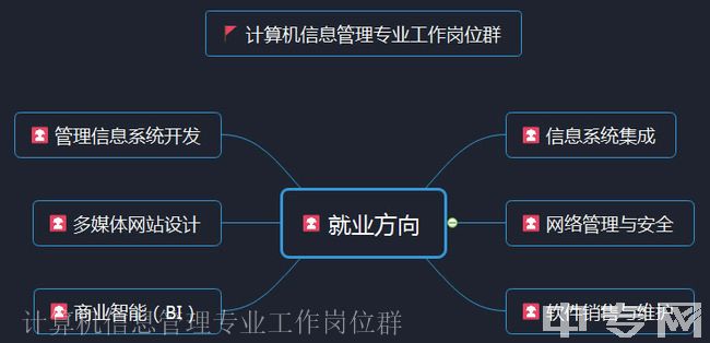 云南旅游职业学院计算机信息管理专业工作岗位群_