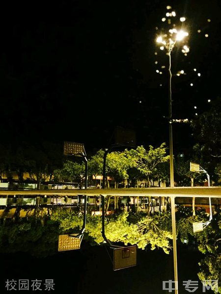 泸化中学校园夜景