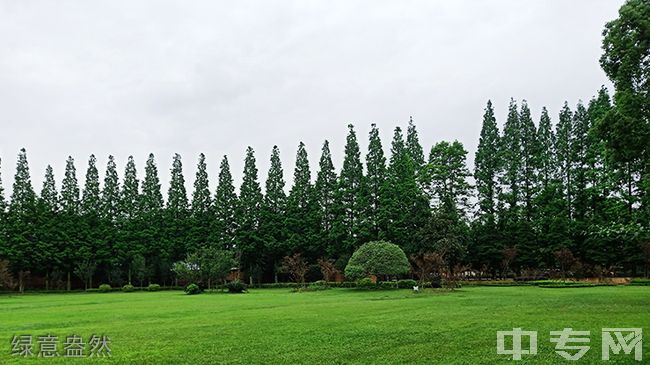 成都玉垒中学绿意盎然