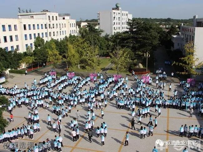 四川省双流永安中学校园选课现场