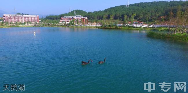 广元天立国际学校天鹅湖