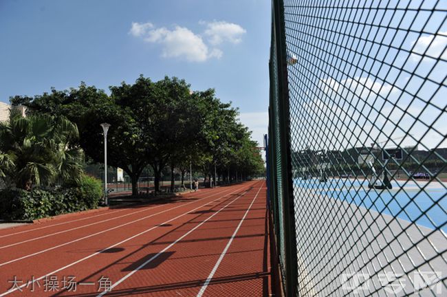 成都棠湖外国语学校大小操场一角