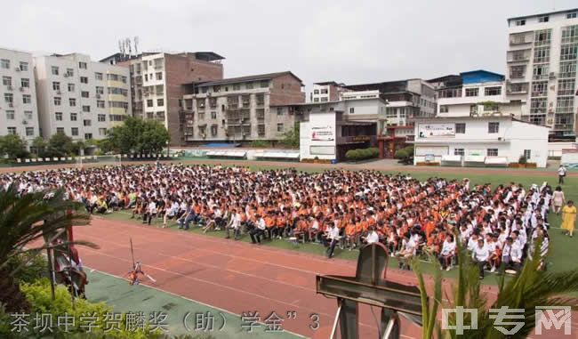 茶坝中学贺麟奖（助）学金”3