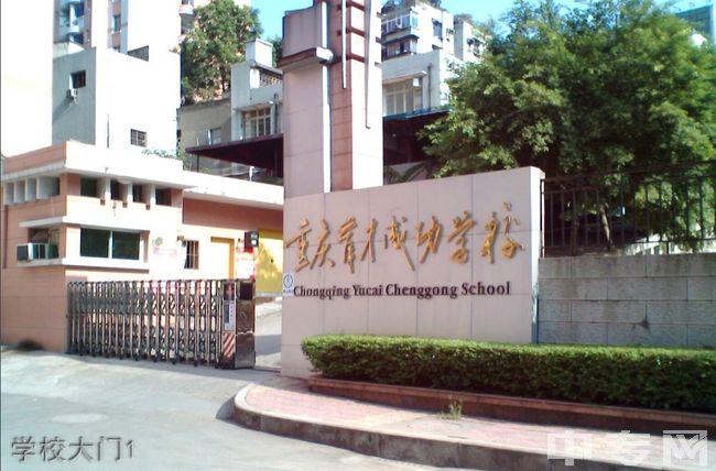 重庆育才成功学校学校大门1