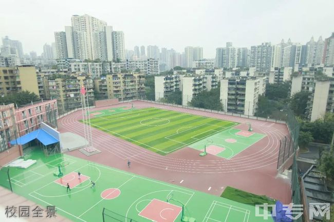 重庆市田家炳中学校园全景