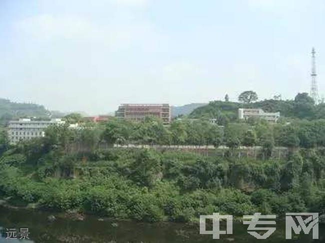 重庆市长寿龙溪中学校远景