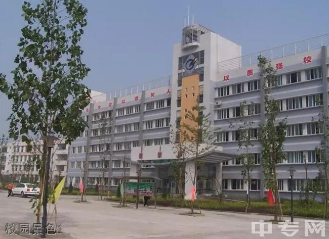 重庆市江津实验中学校园景色1