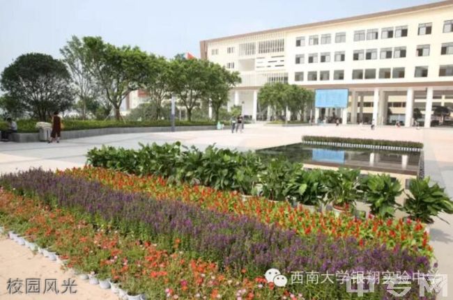 西南大学银翔实验中学校园风光