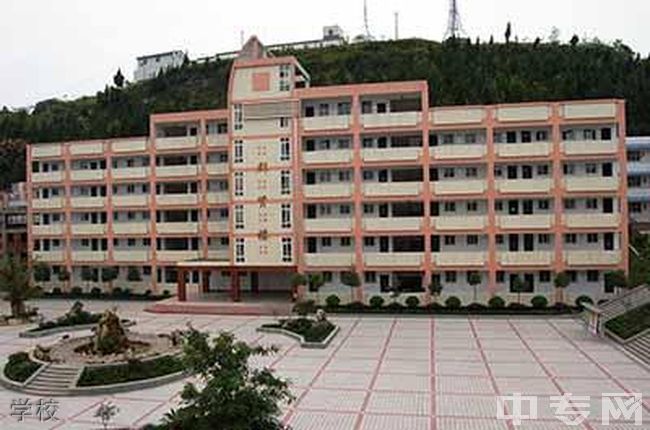 重庆云阳县凤鸣中学学校