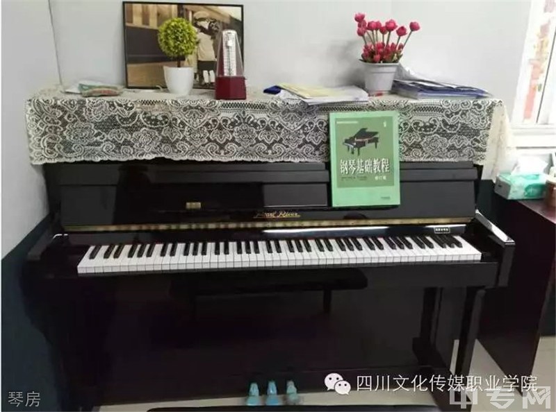 四川文化传媒职业学琴房