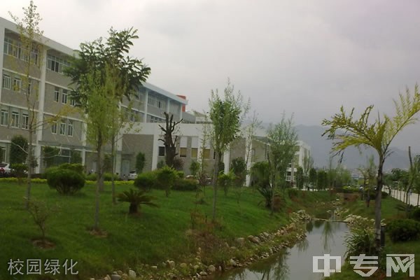 临沧市第一中学校园绿化