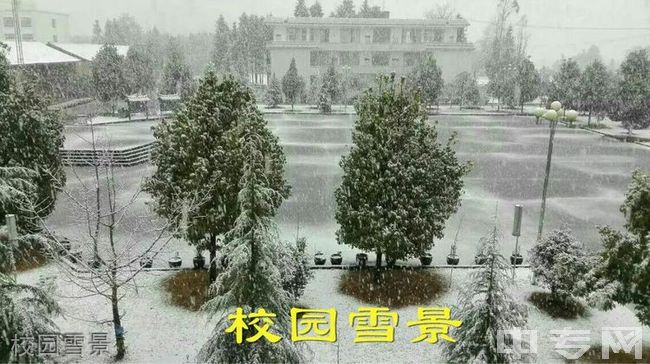 腾冲市固东中学校园雪景