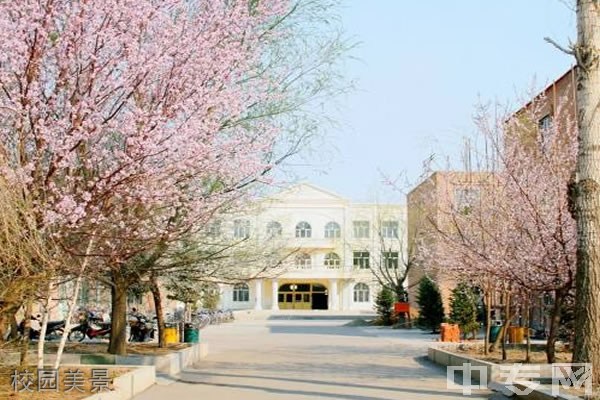 马关县第一中学校园美景