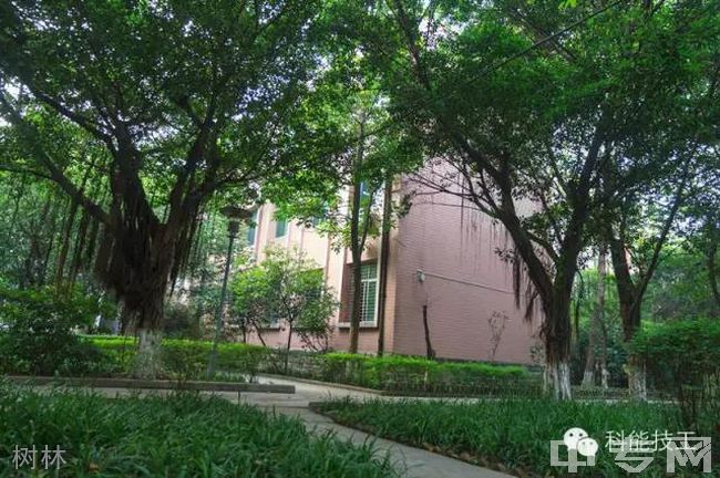 重庆市科能高级技工学校树林