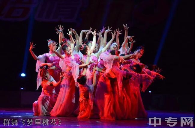 阳泉市文化艺术学校群舞《梦里桃花》
