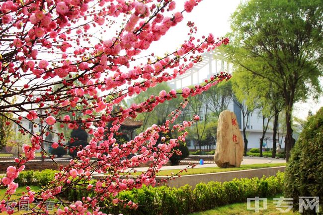 忻州市第一中学校校园之春2