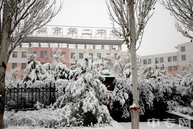 朔城区第二中学校校园雪景