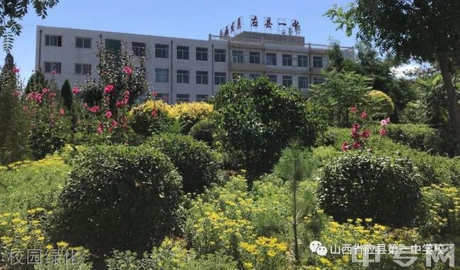 应县第一中学校校园绿化