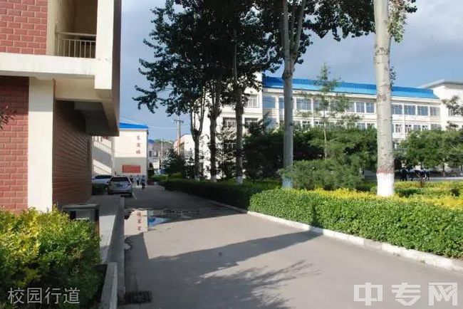 陵川县第一中学校园行道