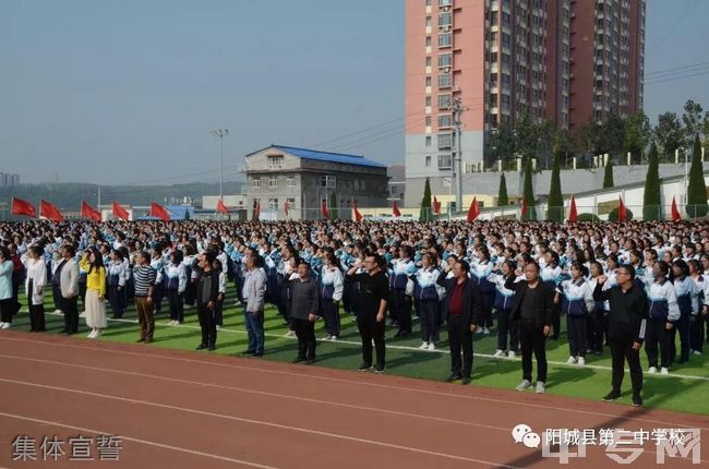 阳城县第二中学校集体宣誓