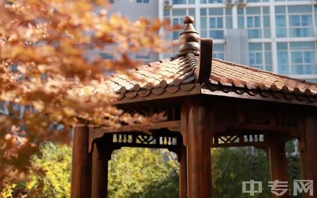 北京青年政治学院环境、寝室介绍