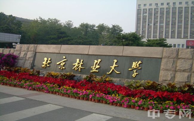 北京林业大学