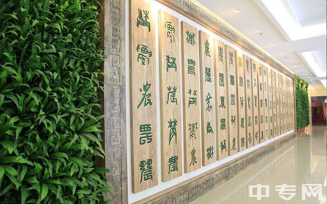 上海农林职业技术学院环境、寝室介绍