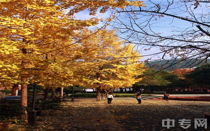 重庆邮电大学